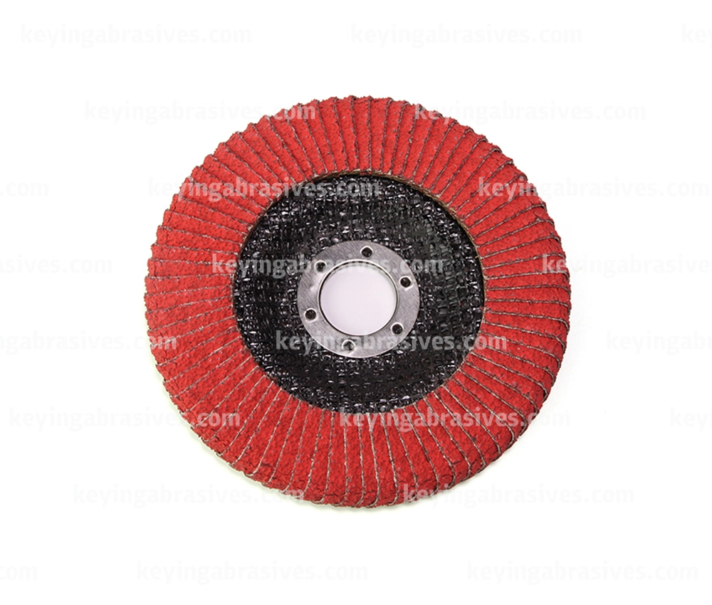 Other Shape Grinding & Polishing Disc